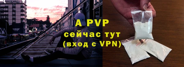 сатива Няндома