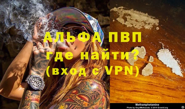 сатива Няндома