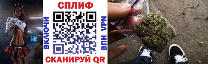 Конопля SATIVA & INDICA Липецк